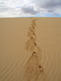 Spuren im Sand