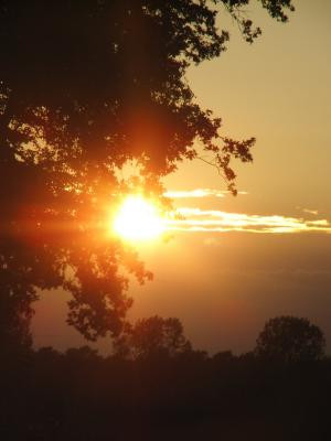 Untergehende Sonne