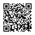 QR Code stadtradeln team